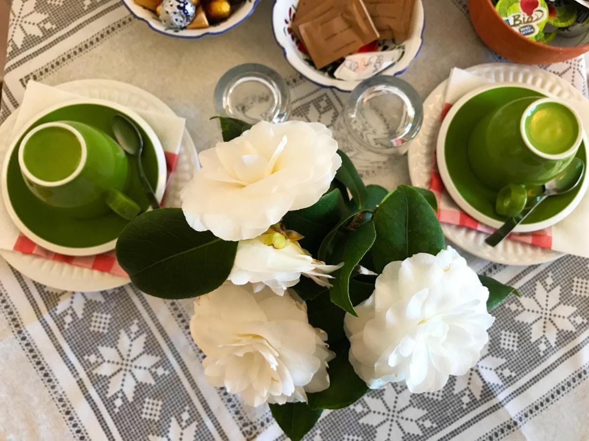 Il Giardino Sul Mare B&B Рива-Лигуре Экстерьер фото