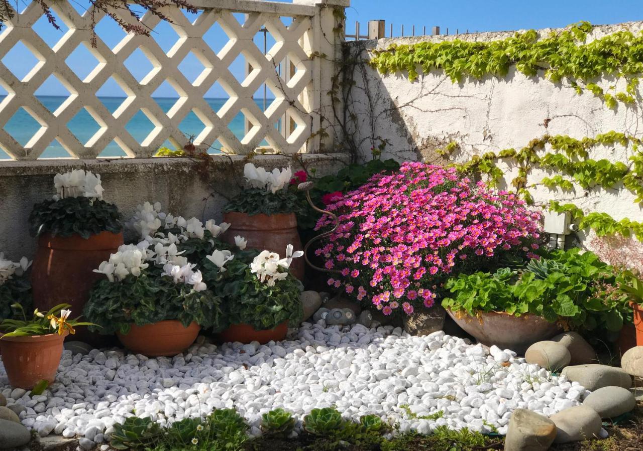 Il Giardino Sul Mare B&B Рива-Лигуре Экстерьер фото